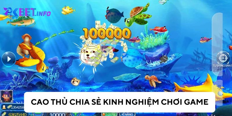 Bí kíp bắn cá từ cao thủ