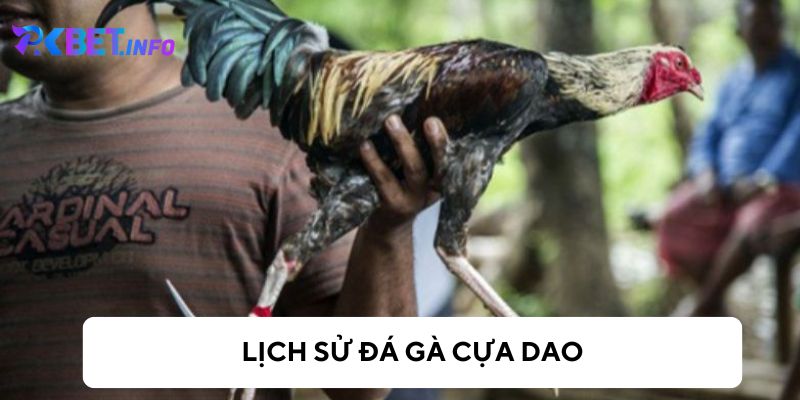 Nguồn gốc của đá gà cựa dao