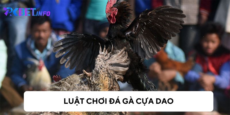 Tìm hiểu luật chơi đá gà cựa dao