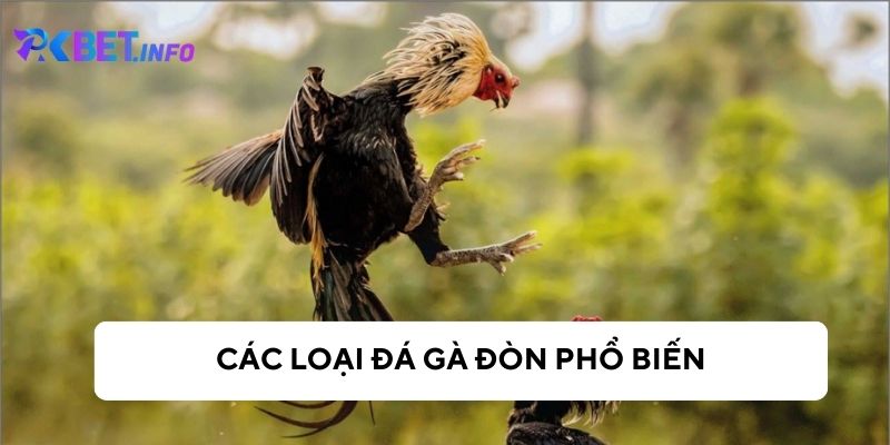 Các loại đá gà đòn được nhiều người biết đến