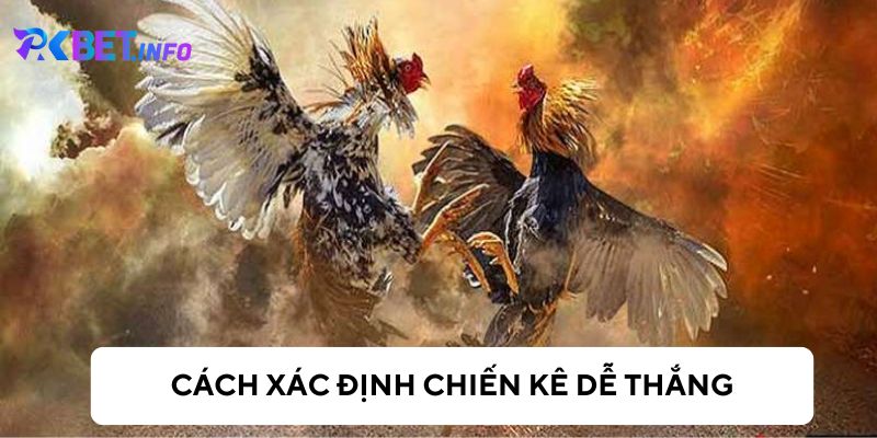 Cách nhận biết chiến kê