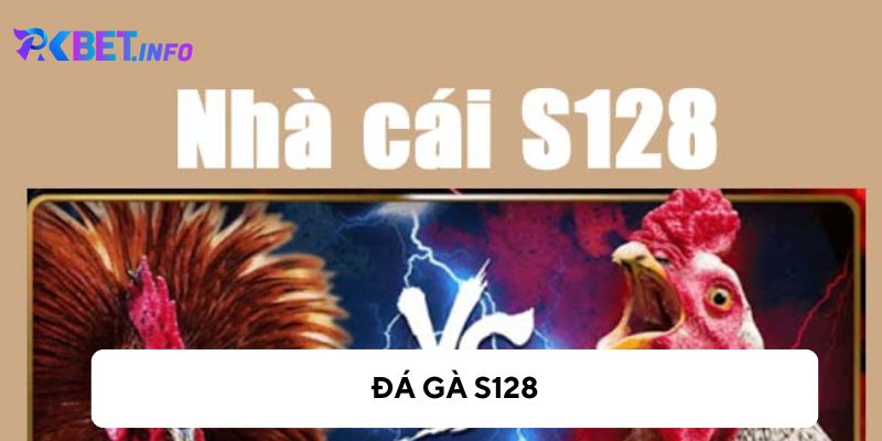 Tìm hiểu về đá gà s128 cho người mới bạn nên biết