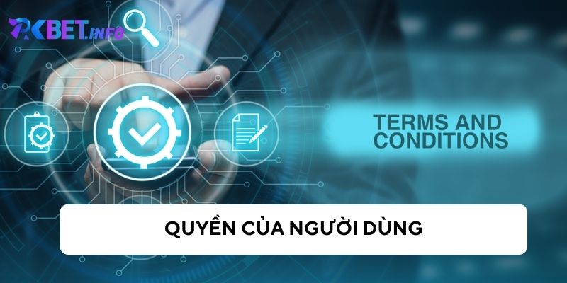 Quyền của người chơi tại Pkbet