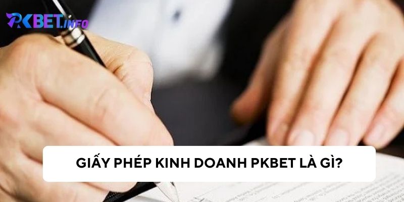 Khái niệm về giấy phép kinh doanh