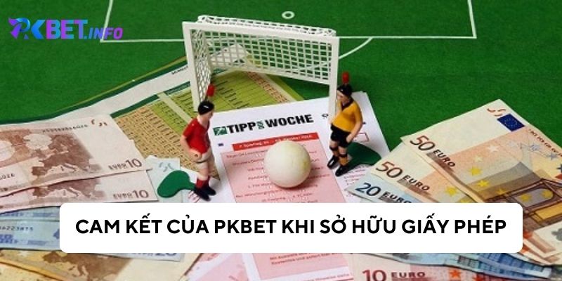 Cam kết của nhà cái về quyền và trách nhiệm cho người chơi