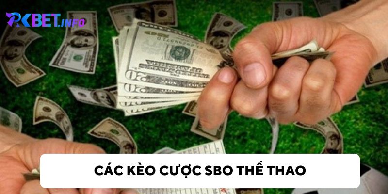 Các loại cược khác nhau tại SBO thể thao