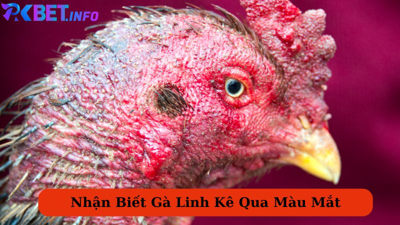 Nhận biết qua màu mắt