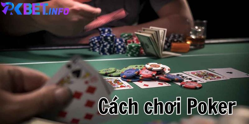 Kinh nghiệm cá cược của người chơi poker giỏi nhất thế giới