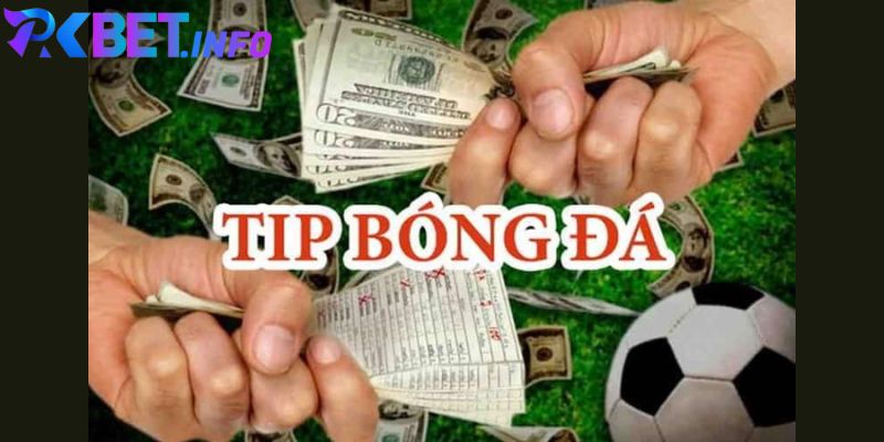 Tip Nội Gián Bóng Đá Là Gì? Lưu Ý Khi Mua Tip Nội Gián 